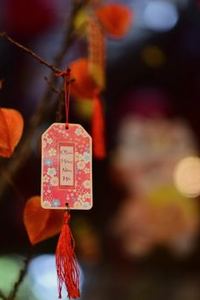 tránh đặt quá nhiều cửa